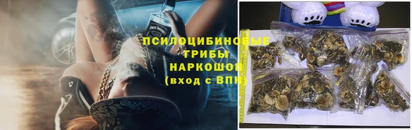 jwh Алзамай
