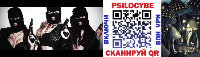 Псилоцибиновые грибы Psilocybine cubensis  Миасс 